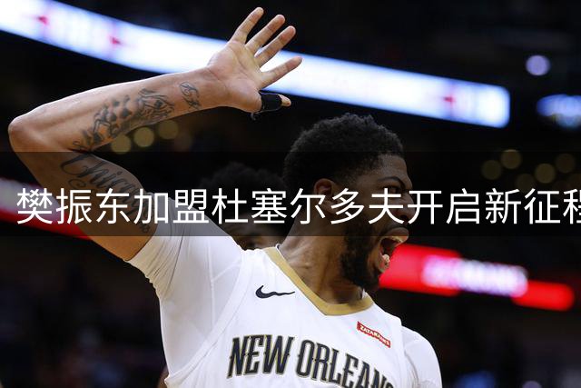 樊振东加盟杜塞尔多夫开启新征程